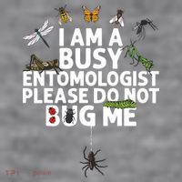 Funny Entomology Gift For Men Women Bug Lovers Women's Racerback Cropped Tank thumb 2