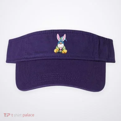 Visor