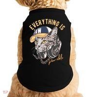 Funny Everything Is Pawsible Hiphop Cat Doggie Tank thumb 0