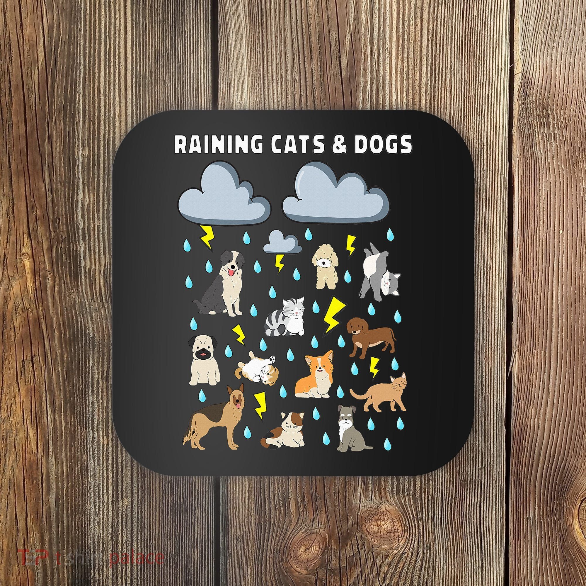 Funny English Idiom Raining Cats and Dogs Puppies Kitten Coaster