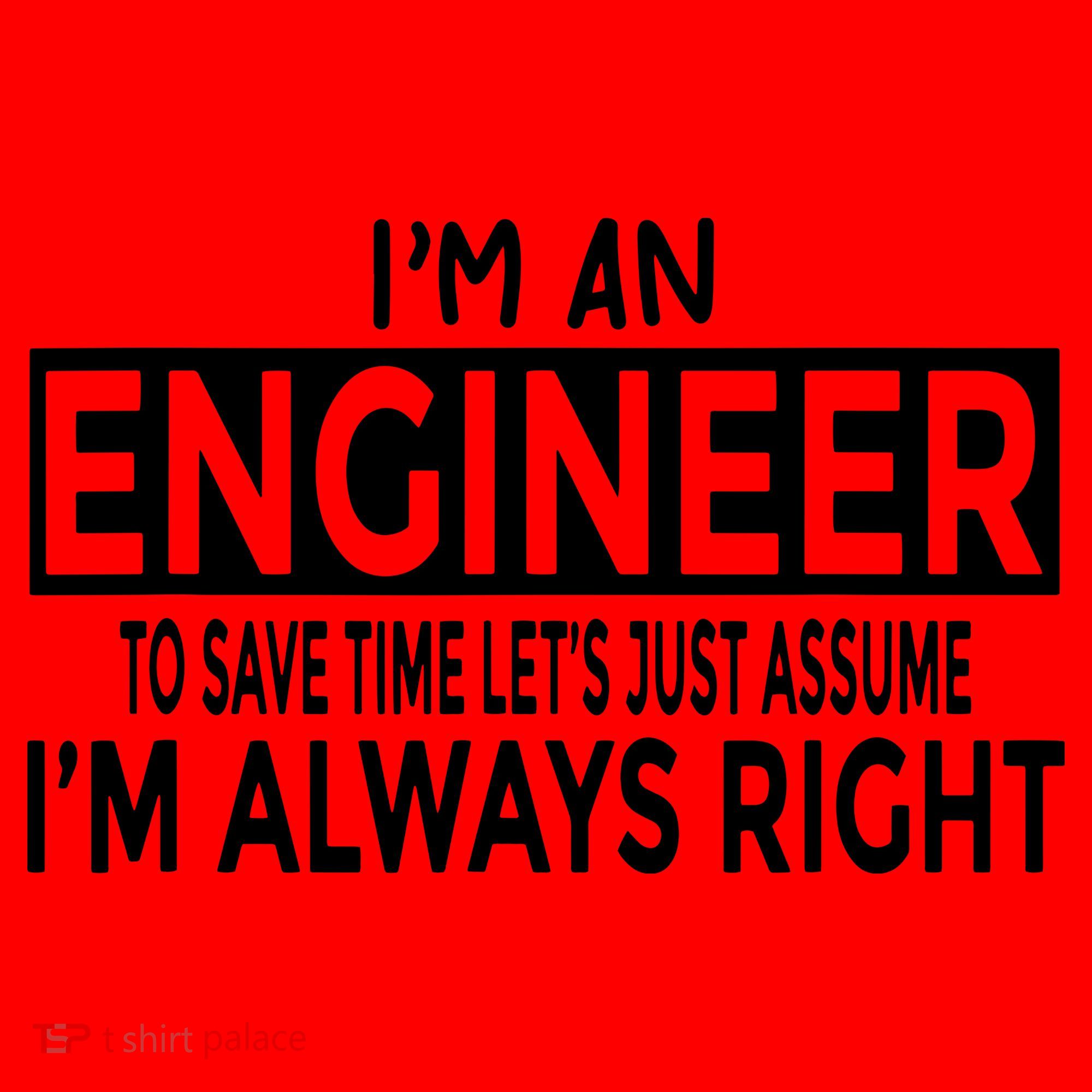 Funny Engineer Just Assume Im Always Right Santa Hat
