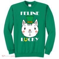 Feline Lucky Cat St Patricks Day Sweatshirt thumb 0