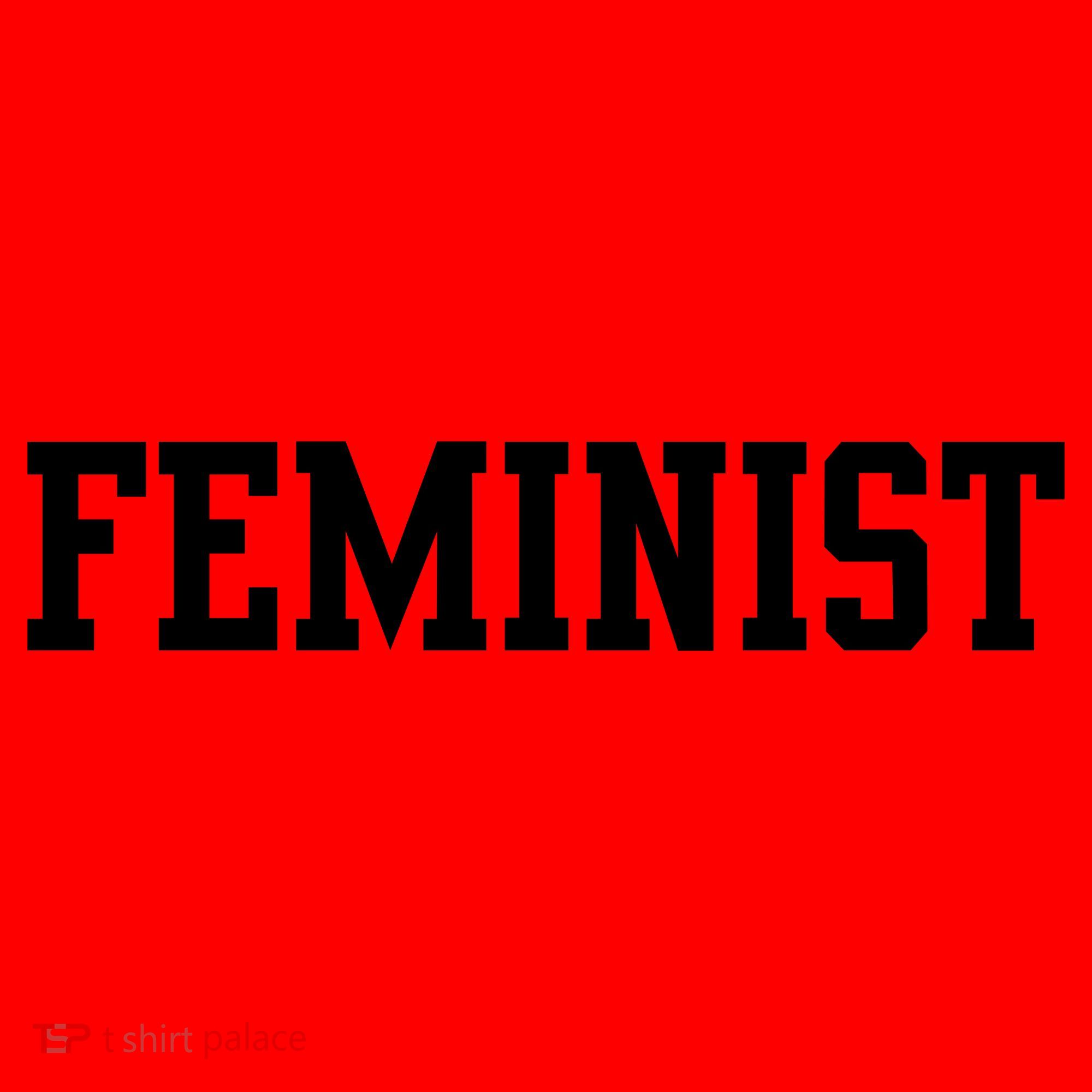 Feminist Santa Hat