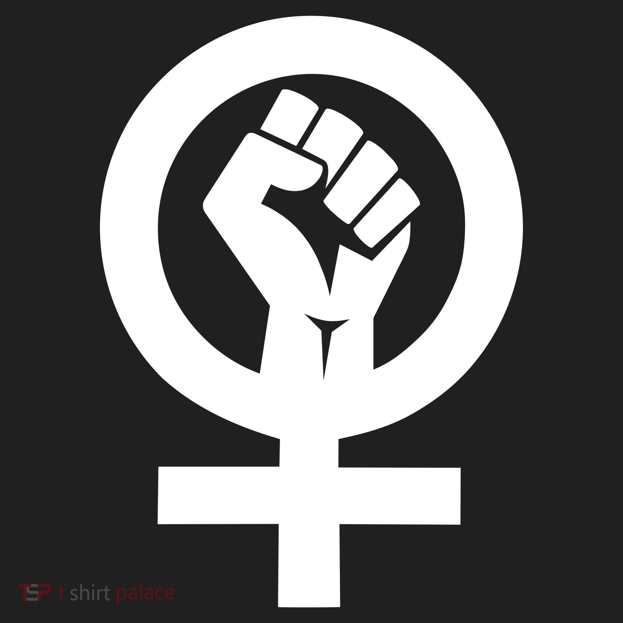 Feminist Womens Rights Feminism Symbol Beanie