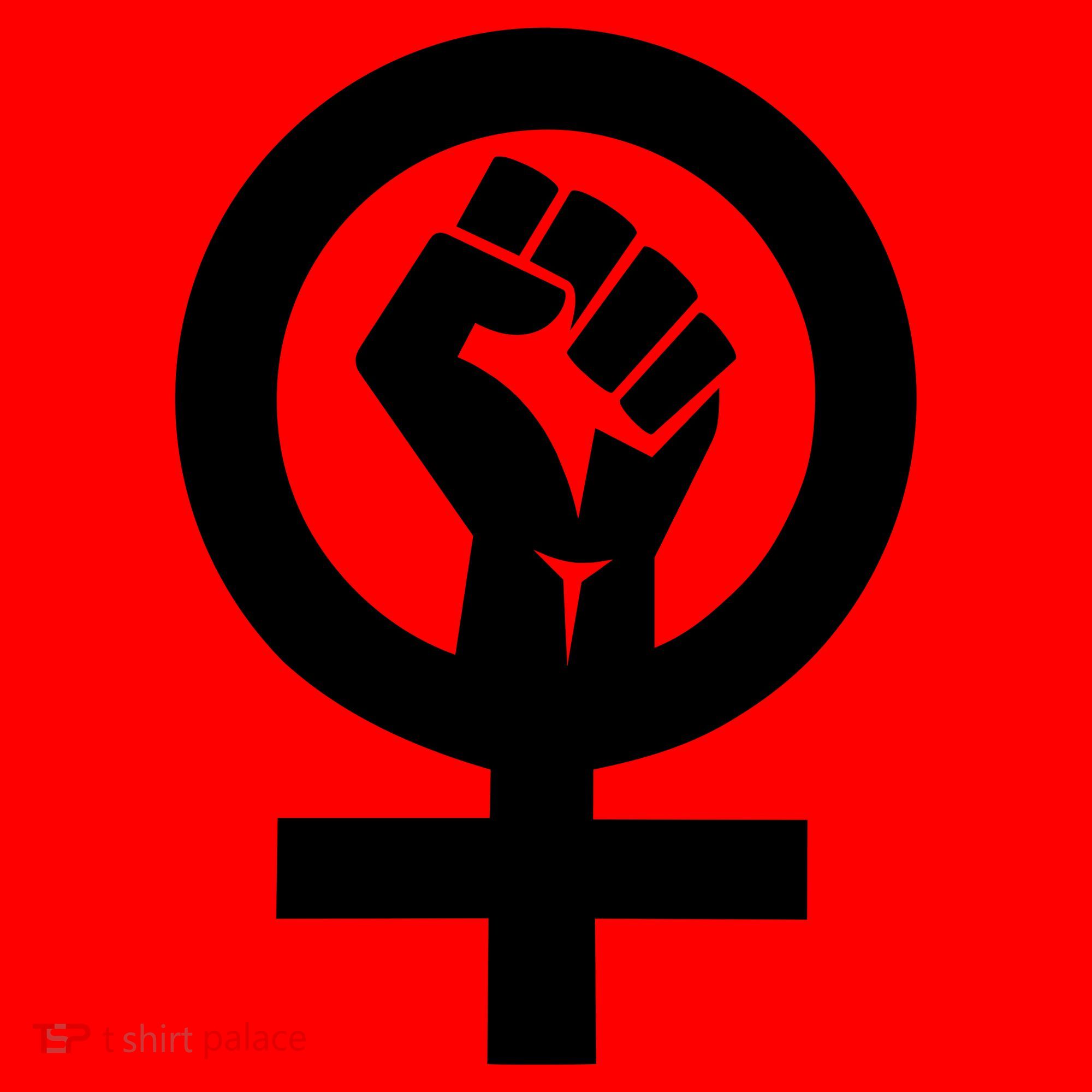 Feminist Womens Rights Feminism Symbol Santa Hat
