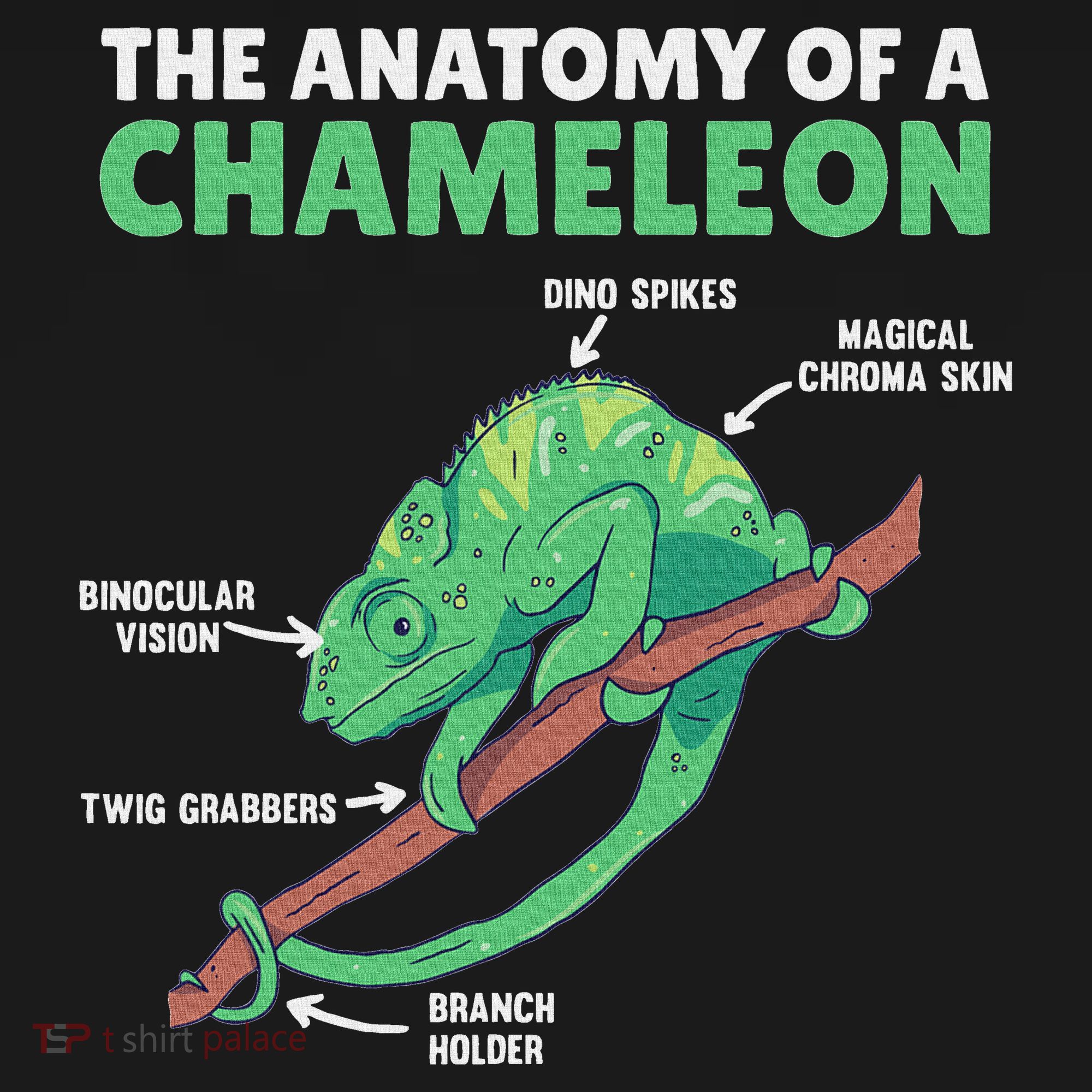 Funny Explanation Of A Chameleon Anatomy Of A Chameleon Long Sleeve Shirt