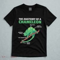 Funny Explanation Of A Chameleon Anatomy Of A Chameleon T-Shirt thumb 5