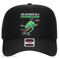 Funny Explanation Of A Chameleon Anatomy Of A Chameleon Hat thumb 0