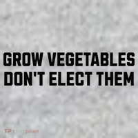 Funny Election Quote Grow Vegetables Do Not Elect Them Toddler T-Shirt thumb 2