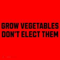 Funny Election Quote Grow Vegetables Do Not Elect Them Santa Hat thumb 1