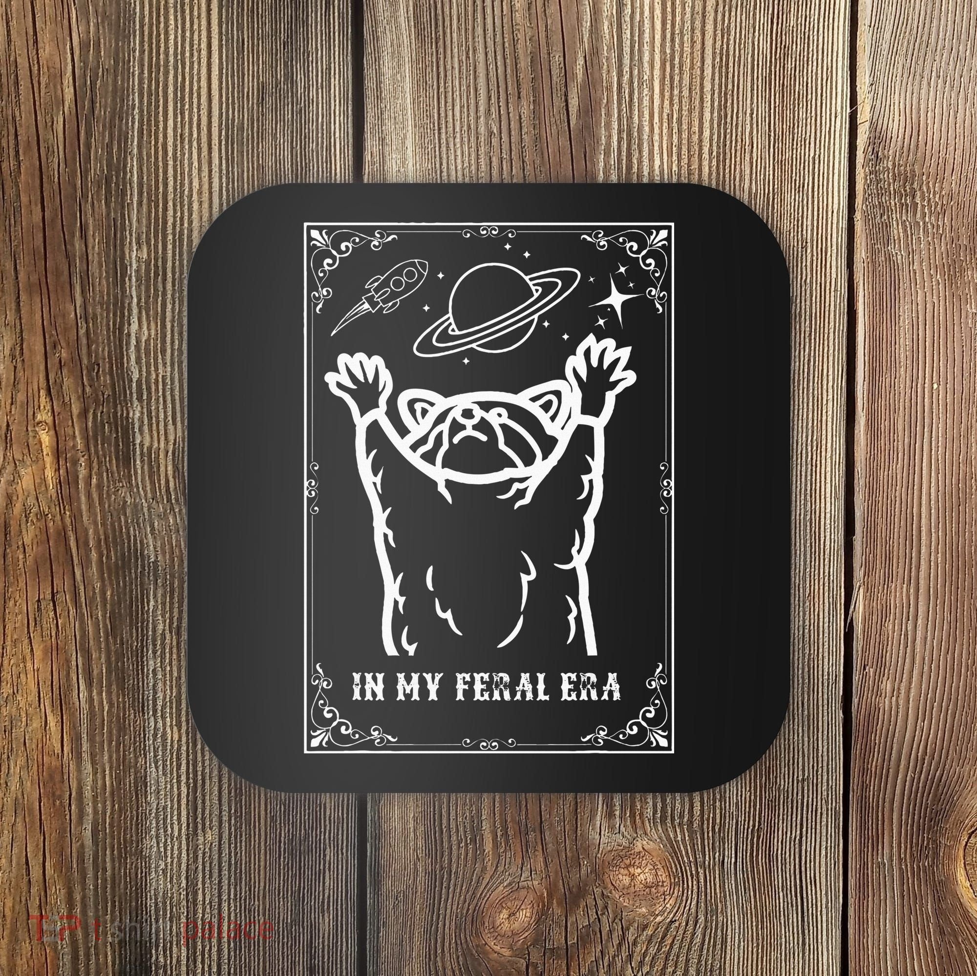 Feral Era Raccoon Cosmic Adventure Coaster