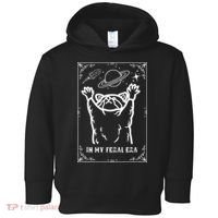 Feral Era Raccoon Cosmic Adventure Toddler Hoodie thumb 0