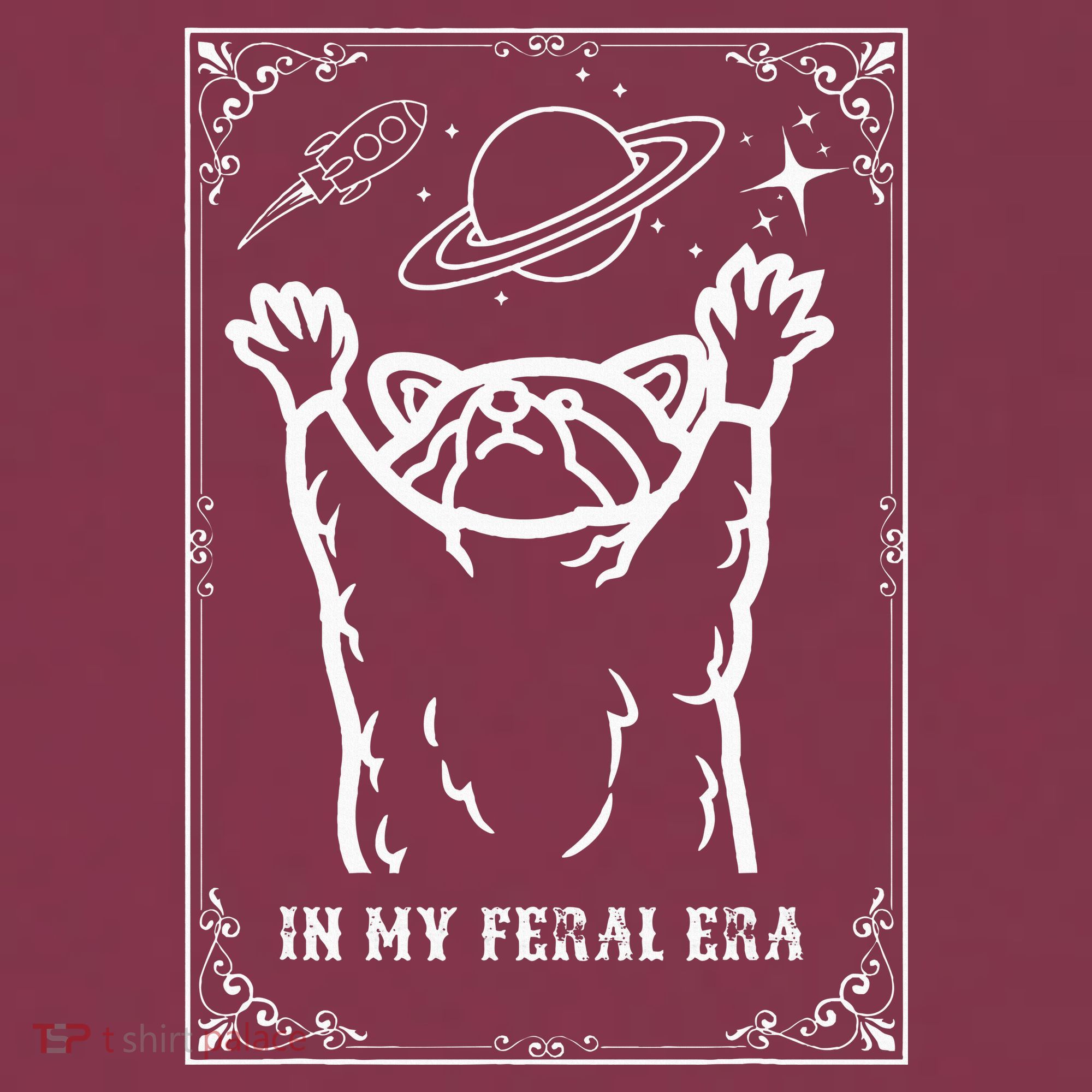 Feral Era Raccoon Cosmic Adventure 16oz Travel Tumbler