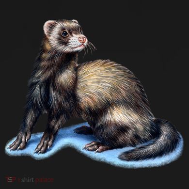 Ferret Wildlife Women's Long Sleeve Shirt