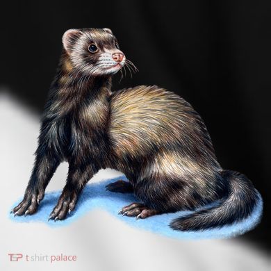 Ferret Wildlife Toddler Fine Jersey T-Shirt