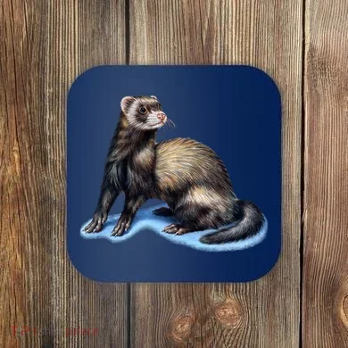 Coaster
