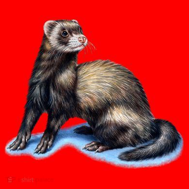 Ferret Wildlife Santa Hat