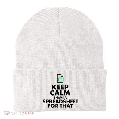 Funny Excel Spreadsheets Lover Gift Accountant Beanie