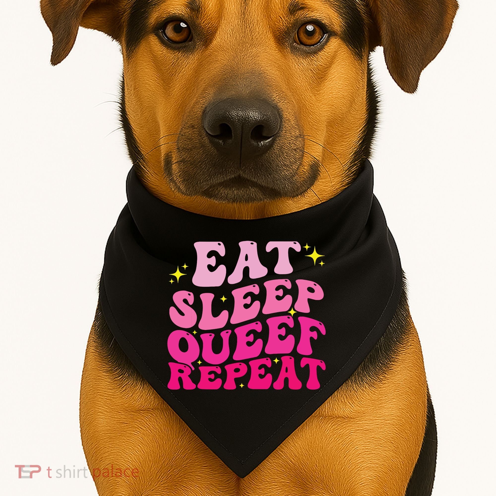 Funny Eat Sleep Queef Repeat Inappropriate Queefing Joke USA-Made Doggie Bandana