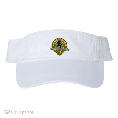 Visor