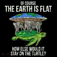 Flat Earth Society Turtle Elephants  Gift Toddler Hoodie thumb 2