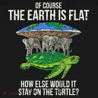 Flat Earth Society Turtle Elephants  Gift Toddler Hoodie thumb 2