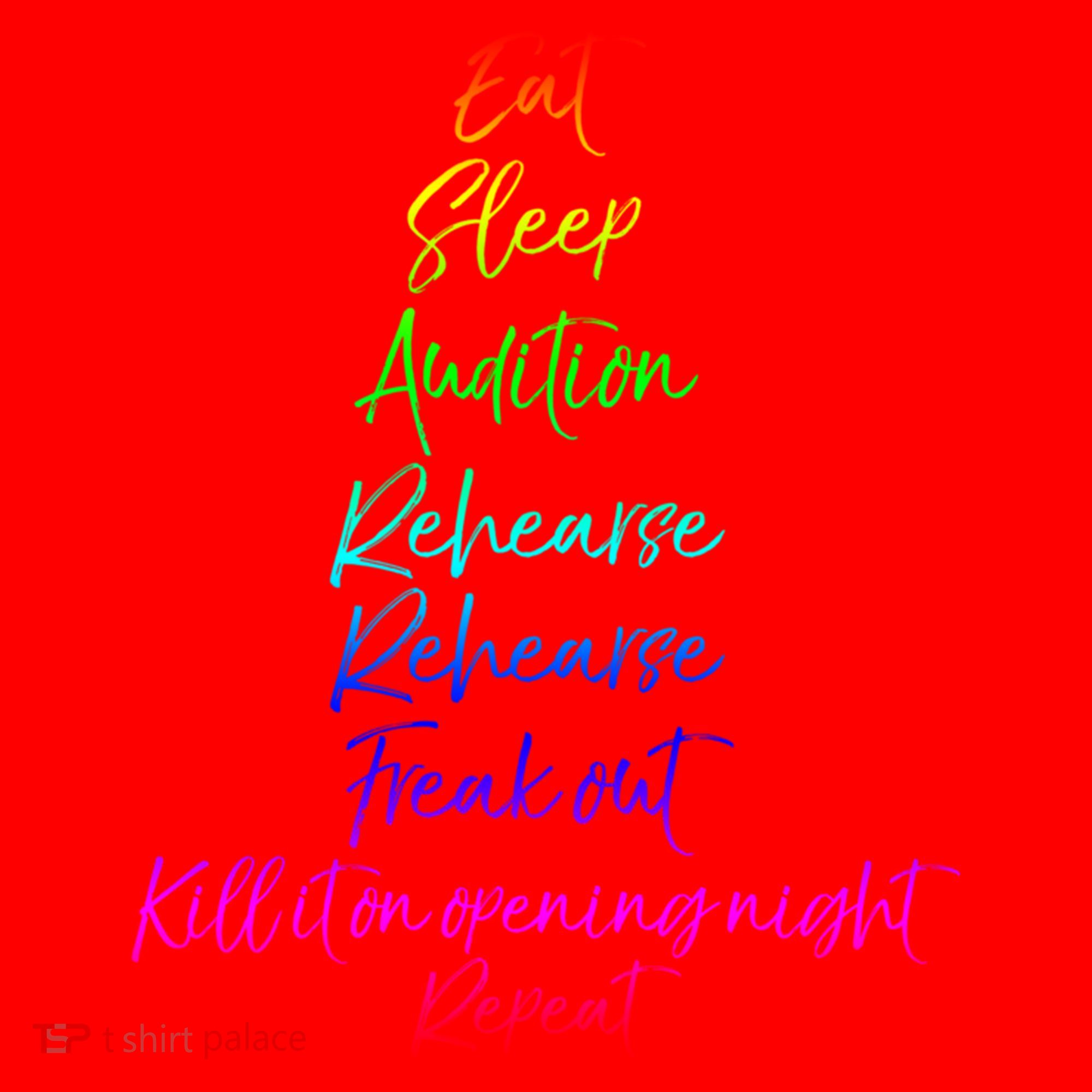 Funny Eat Sleep Audition Rehearse Freak Out Kill It Repeat Gift Santa Hat