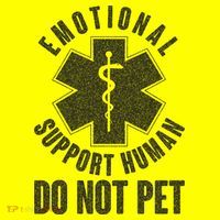 Funny Emotional Support Human Do Not Pet Women's T-Shirt thumb 6