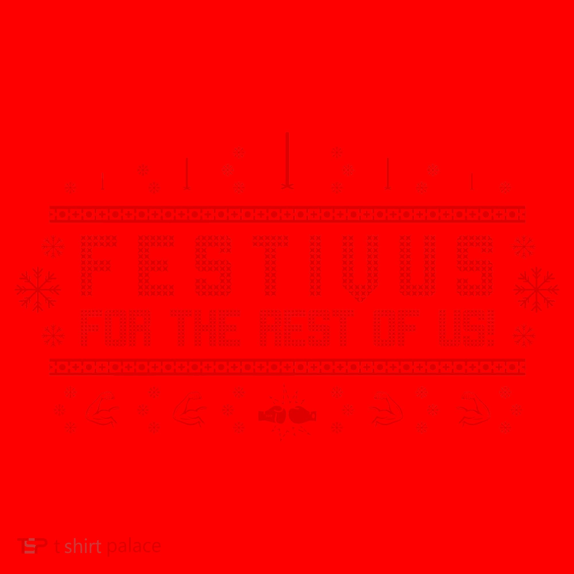 Festivus For the Rest of Us Santa Hat