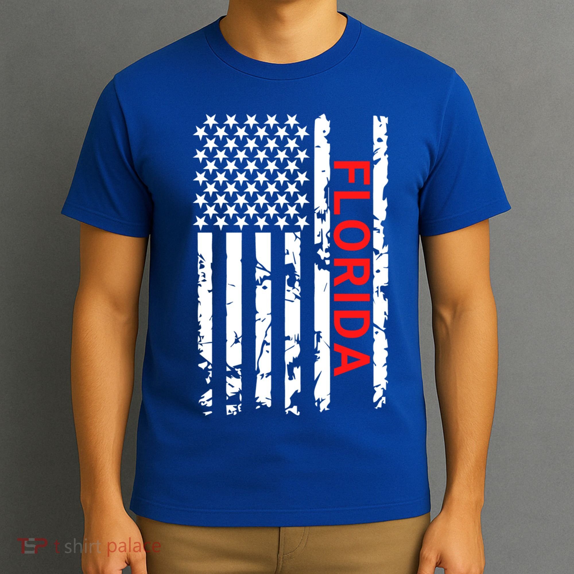Florida Fl And Gift T-Shirt