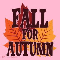 Fall For Autumn Nature Leaves Coaster thumb 2