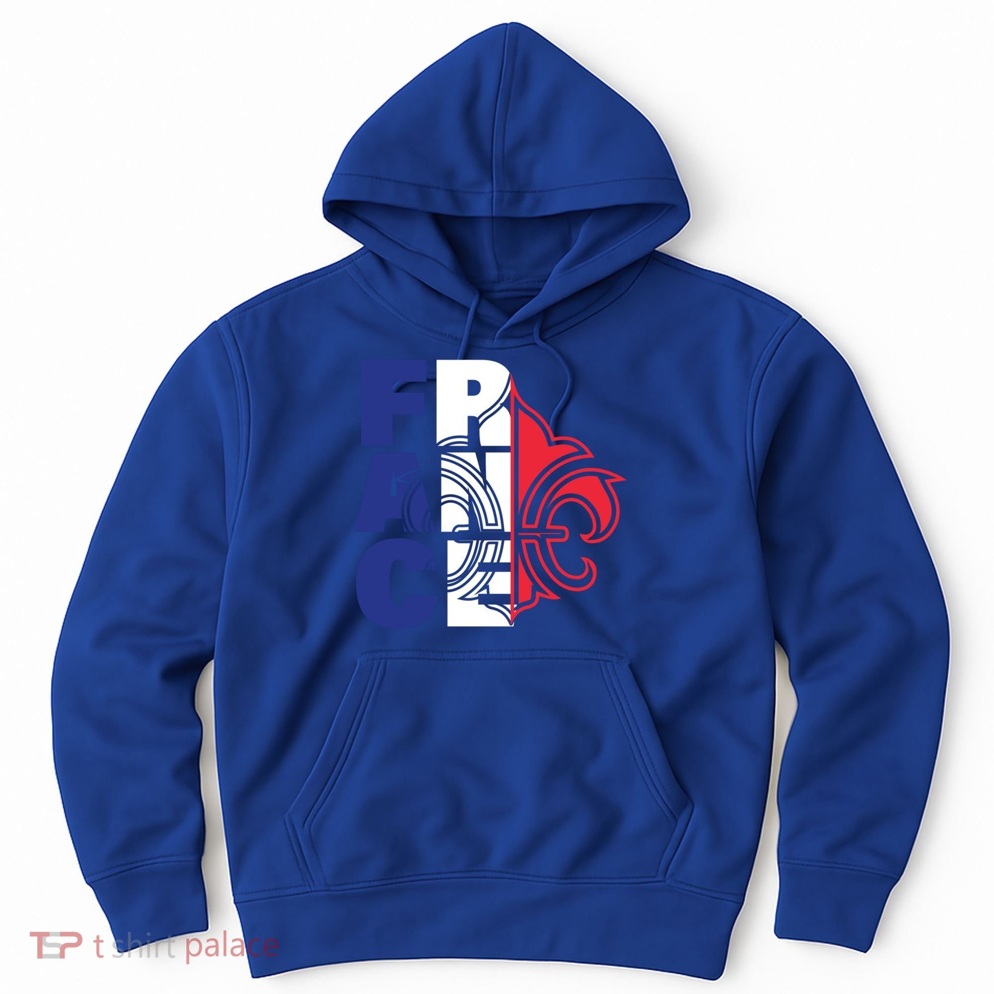 France Flag And Fleurdelis Patriotic Elegance Gift Hoodie