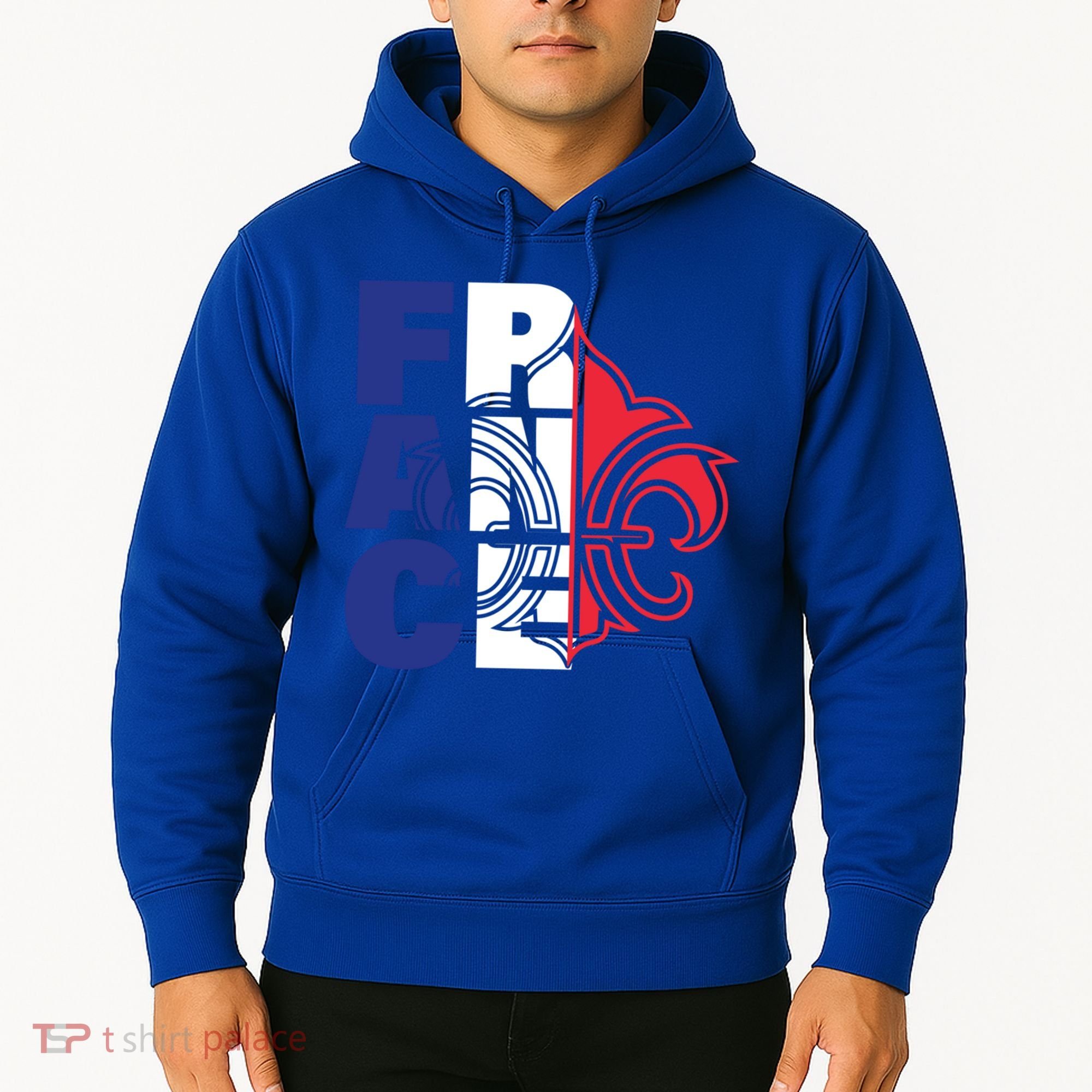France Flag And Fleurdelis Patriotic Elegance Gift Hoodie