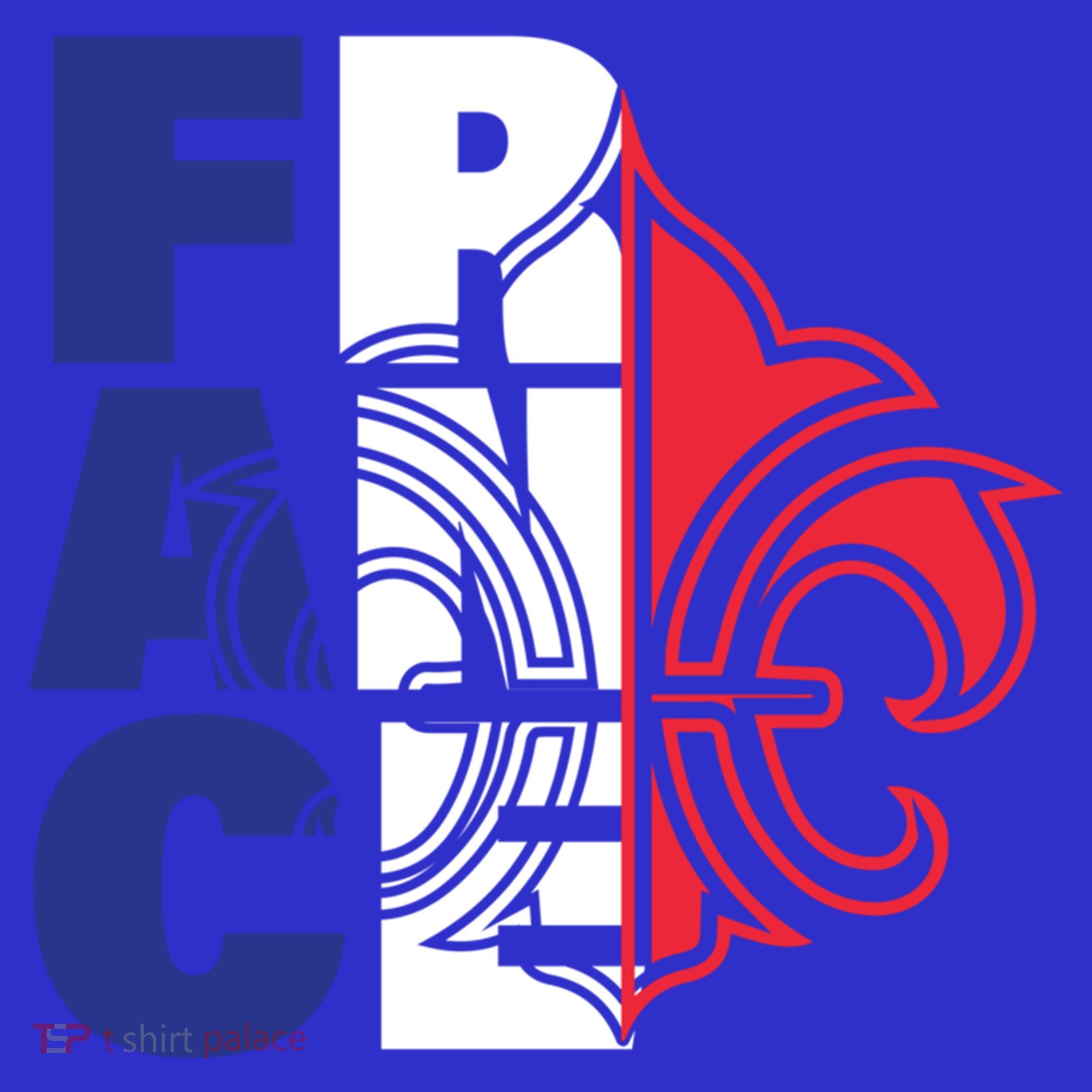 France Flag And Fleurdelis Patriotic Elegance Gift Hoodie