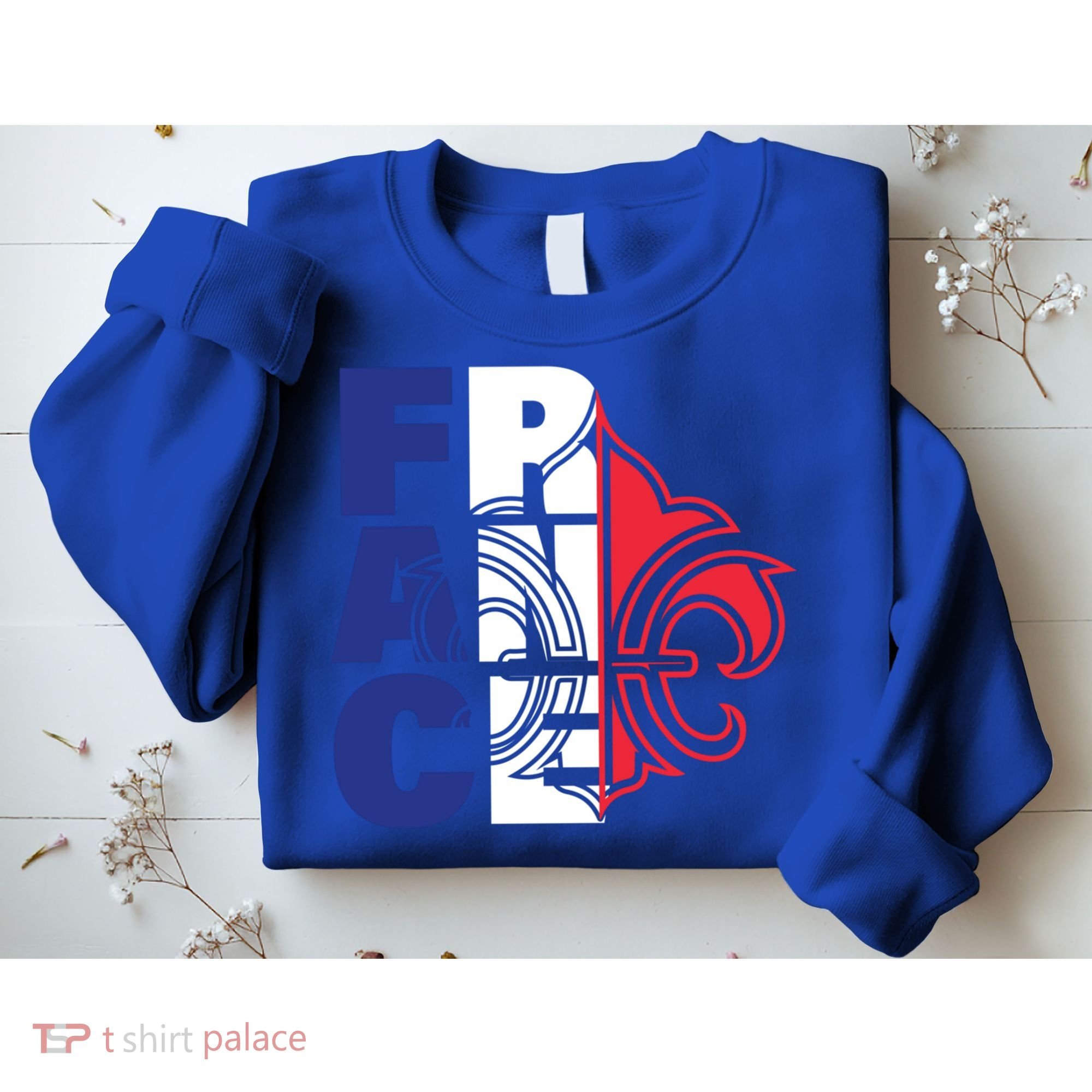 France Flag And Fleurdelis Patriotic Elegance Gift Sweatshirt