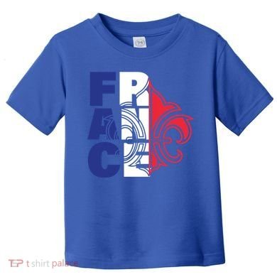France Flag And Fleurdelis Patriotic Elegance Gift Toddler T-Shirt