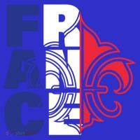 France Flag And Fleurdelis Patriotic Elegance Gift Women's T-Shirt thumb 6