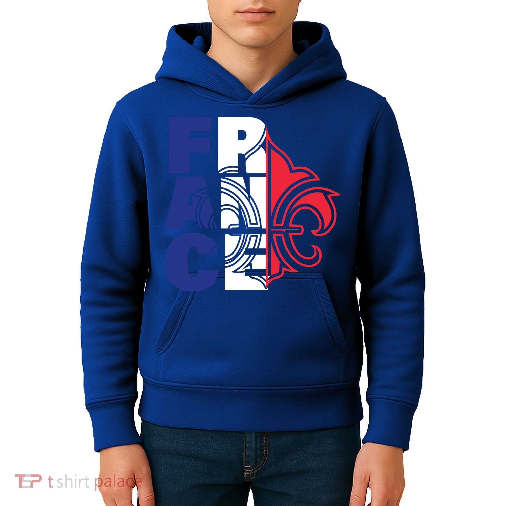 France Flag And Fleurdelis Patriotic Elegance Gift Kids Hoodie