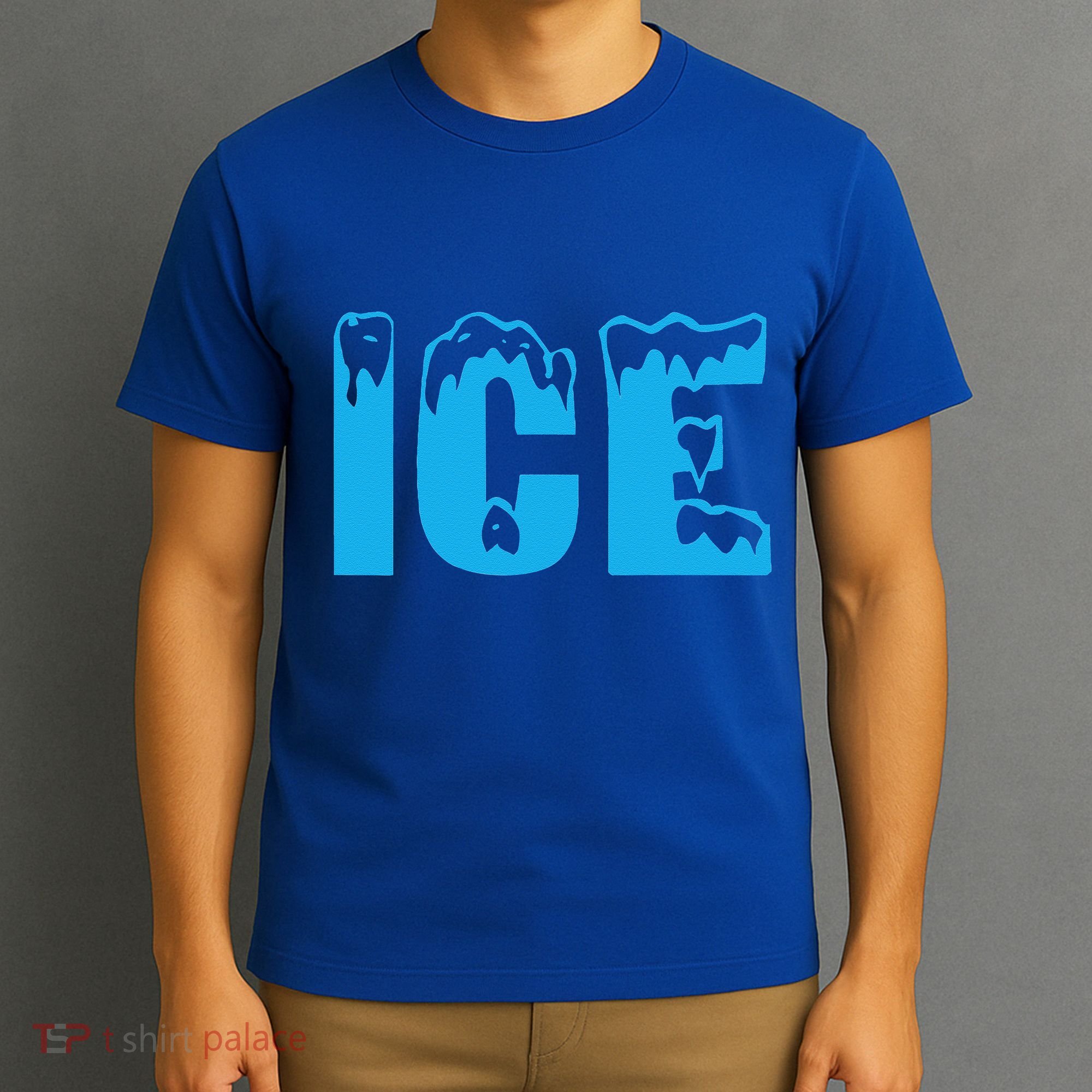 Funny Fire And Ice Costume Halloween Family Matching Funny T-Shirt