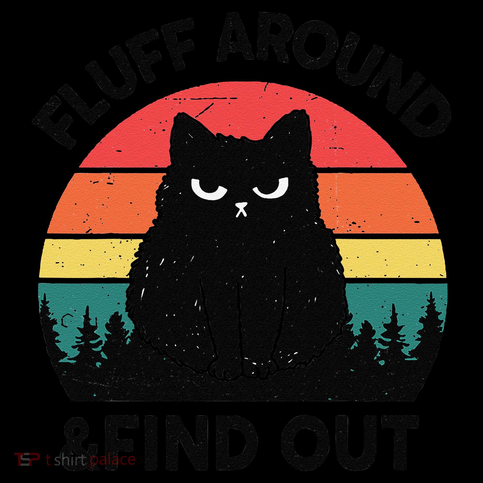 Funny Fluff Around Find Out Humor Sarcastic Black Cat Women's Hoodie