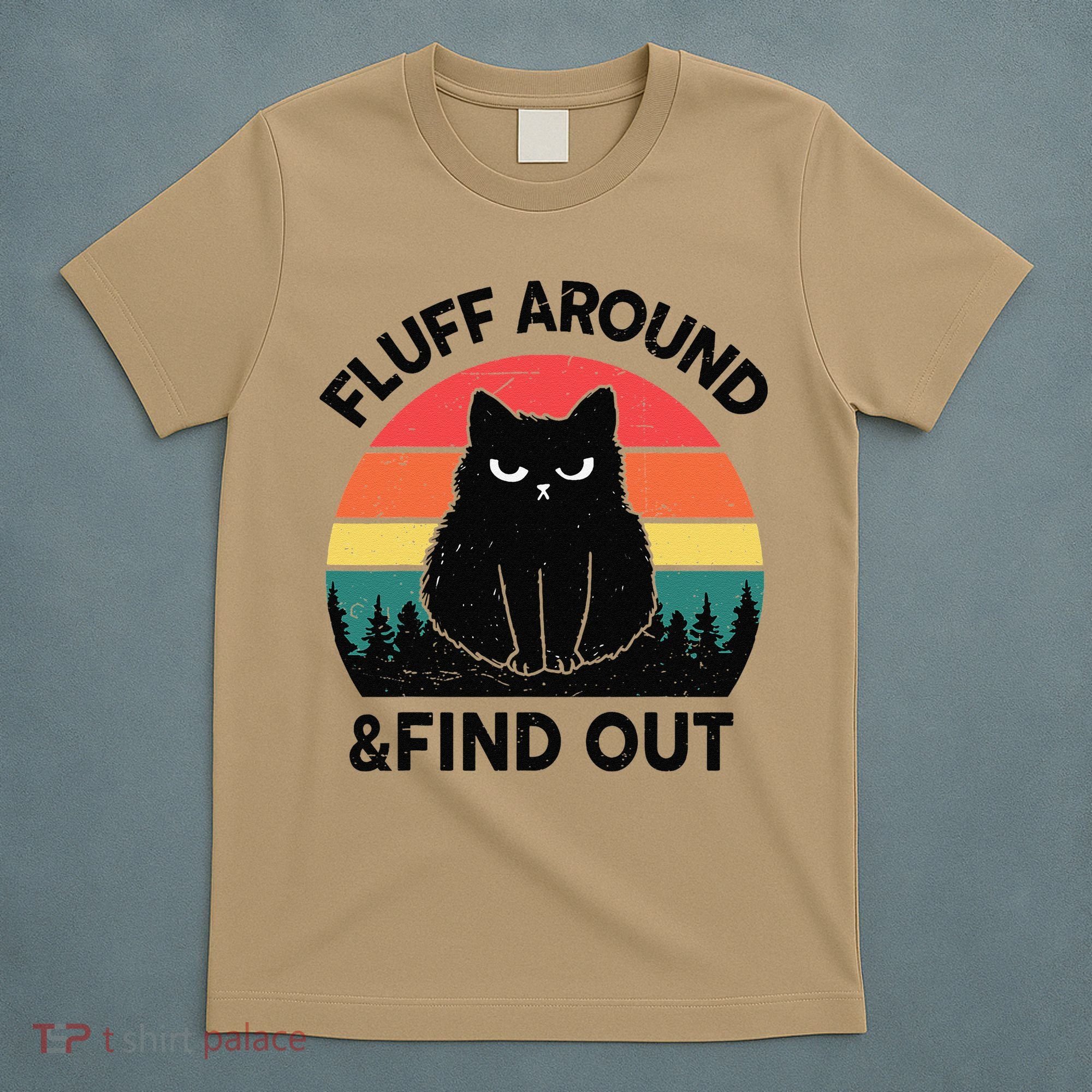 Funny Fluff Around Find Out Humor Sarcastic Black Cat T-Shirt