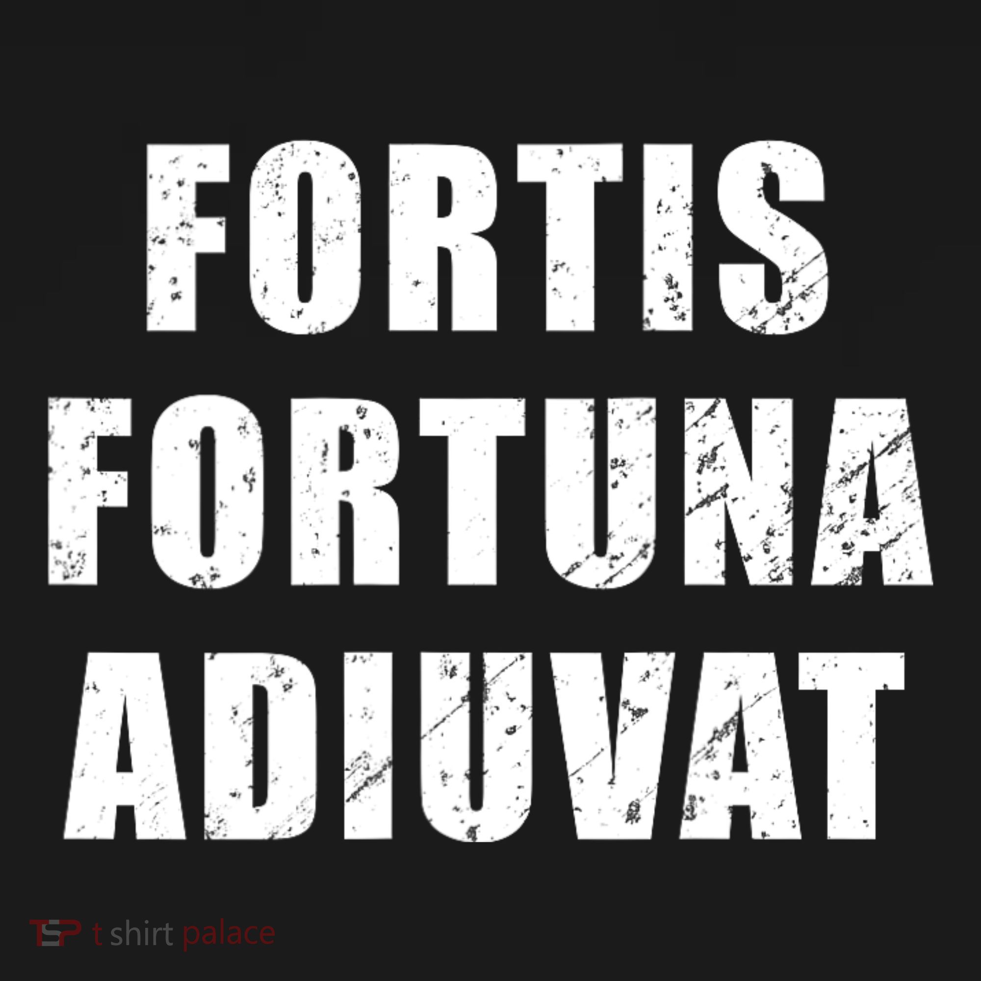 Fortis Fortuna Adiuvat Bucket Hat