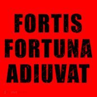 Fortis Fortuna Adiuvat Santa Hat thumb 1