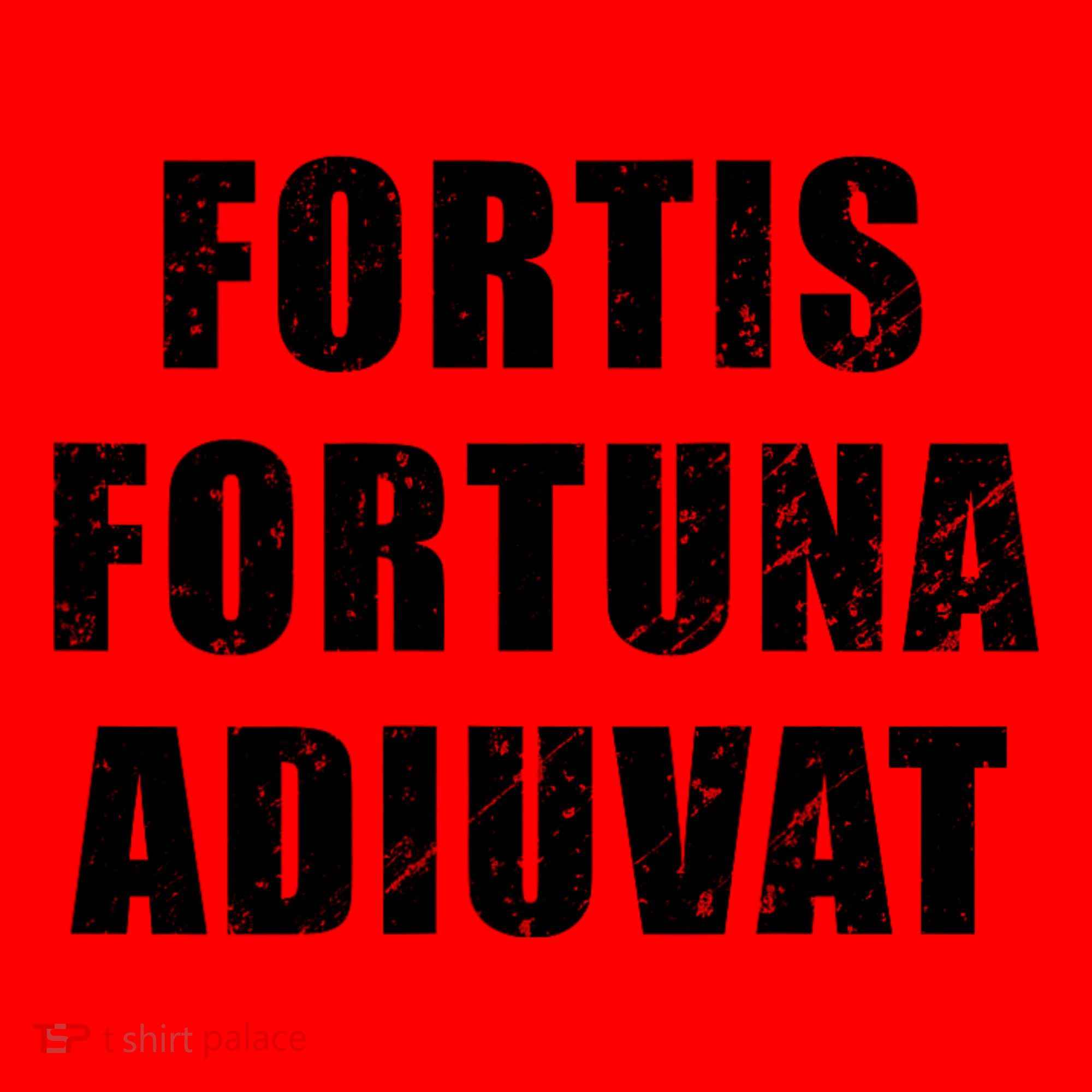 Fortis Fortuna Adiuvat Santa Hat