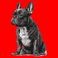 Funny French Bulldog Frenchie Black And White Santa Hat thumb 1
