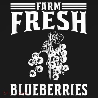 Farm Fresh Blueberries Gift Blueberry Farmer Women's T-Shirt