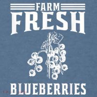 Farm Fresh Blueberries Gift Blueberry Farmer Comfort Colors Garment-Dyed Hooded Sweatshirt thumb 2