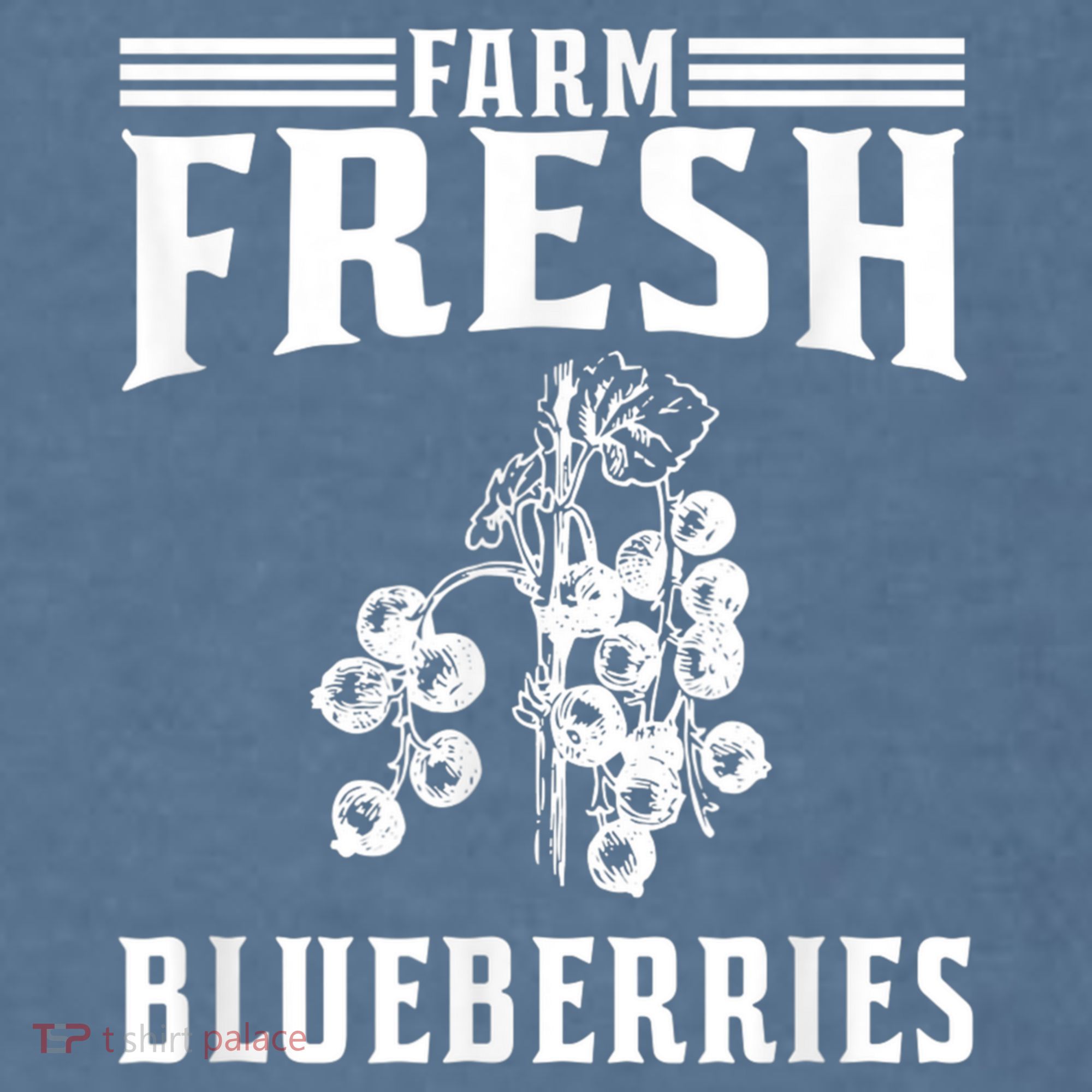 Farm Fresh Blueberries Gift Blueberry Farmer Comfort Colors Garment-Dyed Hooded Sweatshirt