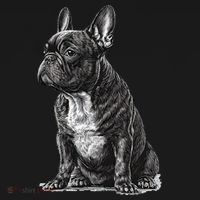 Funny French Bulldog Frenchie Black And White Apron thumb 3