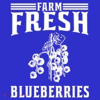 Farm Fresh Blueberries Gift Blueberry Farmer Gift Women's T-Shirt thumb 6